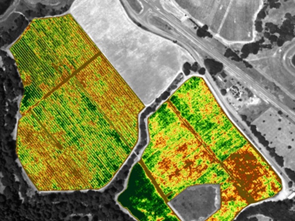 Precision ag spectrometry is transforming primary production
