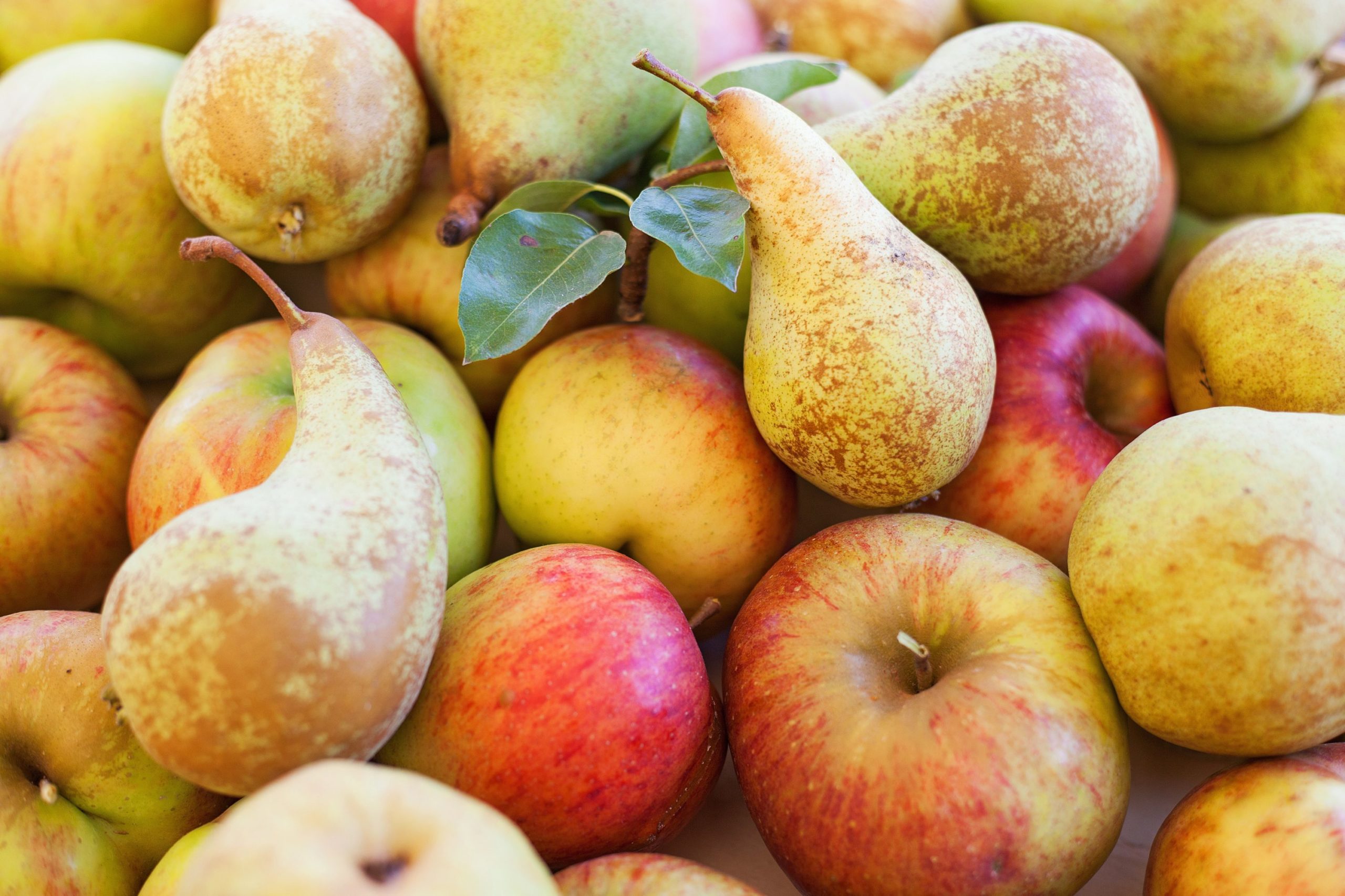 FieldSpec4 used in Australian study on apple and pear production