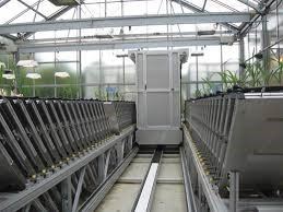 Seed Quality Testing Promises A Bumper Harvest 9 Growscreen-Rhizo