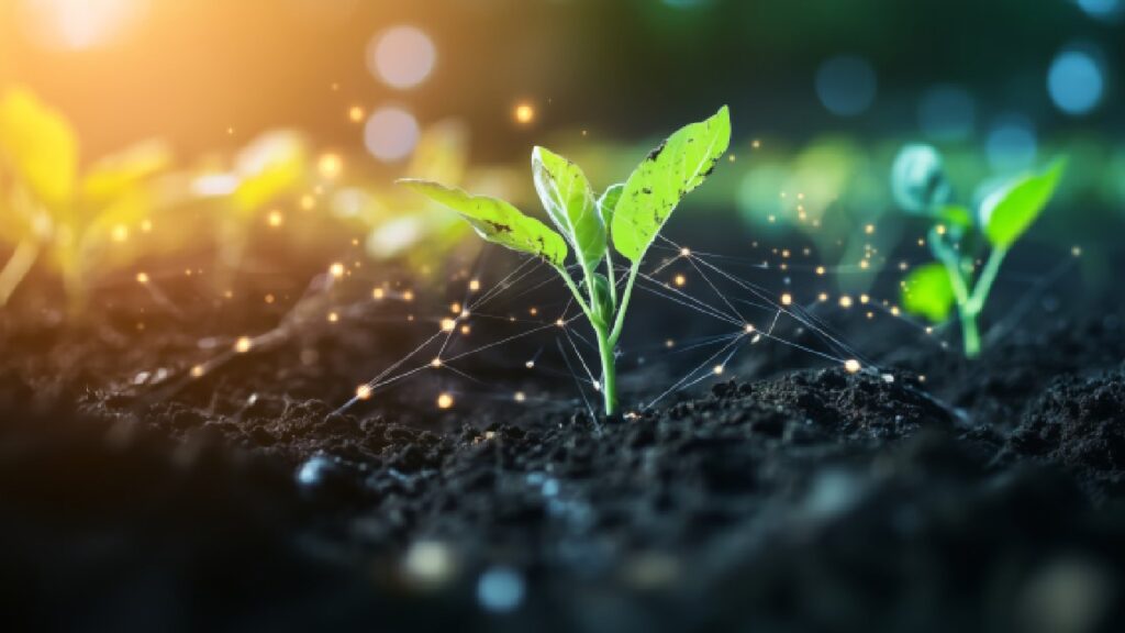 News 10 A young plant growing in nutrient-rich soil, enhanced by digital data points—symbolising the power of precision agriculture and spectroscopy in farming.