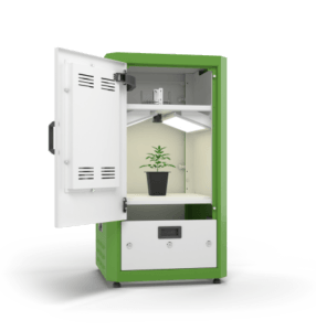 Seed Quality Testing Promises A Bumper Harvest 8 PhenoAIxpert