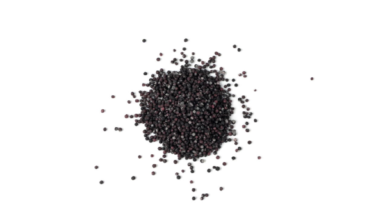 Seeing the Unseen: Solving Black Plastic Detection Challenges with Machine Vision 1 A scattered pile of small black plastic pellets on a white background, representing raw black plastics used in manufacturing and recycling.