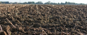 soil precision agriculture